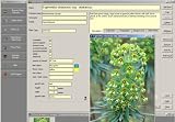 Outdoor Living : Plant Base Plant Encyclopaedia - over 4000 images CD-ROM
