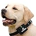 Dog Bark Control Collar Rechargeable & Waterproof Both Static Shock & Vibration Stimulus Options - Suitable For Small Medium & Large Size Dogs. New Greatly Improved Model
