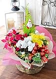 花由 送料無料 季節の花鉢とグリーンの寄せ入れ Mサイズ クリスマスver. 【日時指定便】 フラワーバスケット フラワーギフト クリスマスプレゼント クリスマスギフト生花 鉢花
