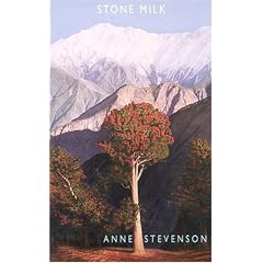 Stone Milk