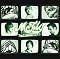 McFly Picture 2