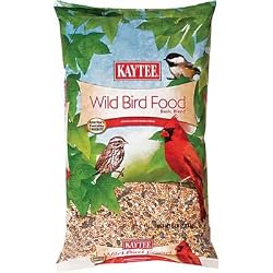 Kaytee Kaytee Wild Bird Food