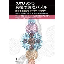 スマリヤンの究極の論理パズル―数の不思議からゲーデルの定理へ