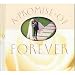 A Promise of Forever (A Hallmark Inspirational Gift Book) (Marriage is a Love That Takes a Lifetime to Express)