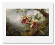 Martin Johnson Heade, Orchids and Hummingbird,