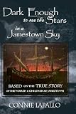 Dark Enough to See the Stars in a Jamestown Sky (Jamestown Sky Series)