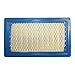 GENUINE OEM KAWASAKI PARTS - ELEMENT-AIR FILTER 11013-7017