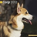 Kalender 2012 Welsh Corgi Pembroke und Cardigan