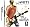 Jam Sessions (Nintendo DS)