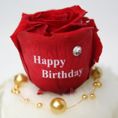メッセージローズ (Preserved Rose) ローズドーム S1~情熱のラブジャック アトミック~レッド 【バースデイストーン☆4月】【Happy Birthday】 22231