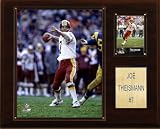 NFL Joe Theisman Washington Redskins Player Plaque
