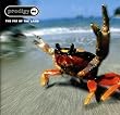 Fat Of The Land [Explicit]