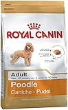 Royal Canin Poodle 30 Dog Food