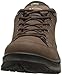 Lowa Men's Renegade III GTX LO Hiking Shoe