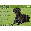 Metall - Warnschild Deutsche Dogge