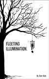 Fleeting Illumination