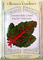 Chard Gourmet Ruby Scarlet Charlotte Heirloom Seeds 120 Seeds