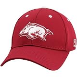 The Game Arkansas Razorbacks Cardinal A-Flex Gametek II Hat
