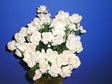 12 Silk Rose Pink and White Bouquet (2 Bouquets)