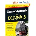 Thermodynamik f�r Dummies (Fur Dummies)