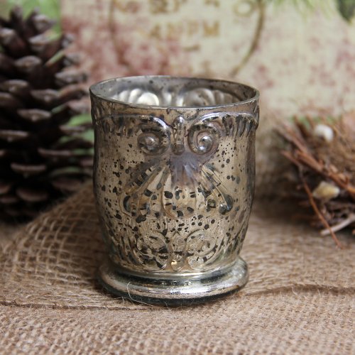 Antique Style Mercury Glass Home Decor