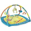 Bright Starts Hop Along Friends Play Gym