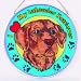 labrador43 - Chocolate Labrador Suncatcher