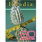 60 Minutes - Hoodia (November 21, 2004) by 