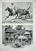 1894 MONGOL COURIER CHINESE MAIL GOBI DESERT COURTYARD