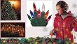 4' x 6' Multi Mini Net Style Christmas Lights - Green Wire