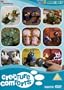 Creature Comforts