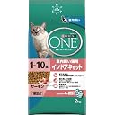 ONE インドアキャット 1～10歳 サーモン 2kg