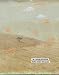 Books : Francis Alys: In a Given Situation