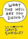 What the Hell are You Doing?: The Essential David Shrigley