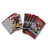 NHL Phoenix Coyotes 2010 Score Team Set