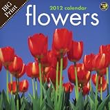 2012 Flowers Big Print Wall Calendar: Big Grid