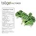Tsogo Premium Whole Kale Powder, 30g 48 Servings of Premium Quality 100% Whole Freeze-Dried Kale Vegetable Powder - No Added Flavors, Fillers or Sugars