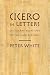 Cicero in Letters: Epistolary Relations of the Late Republic