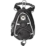 Western Michigan Broncos NCAA Mini Day Pack