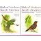 Bird & Wildlife Guides to the Americas