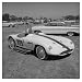 Mooneyes Devin Dragster, 1950's Art Poster Print, 19x19