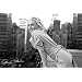 Marilyn Monroe -----Balcony ------ Large Poster 36 inches by 24 inches Large Poster