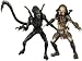 Alien VS. Predator NECA Exclusive Action Figure 2 Pack Alien Vs. Predator_s-2