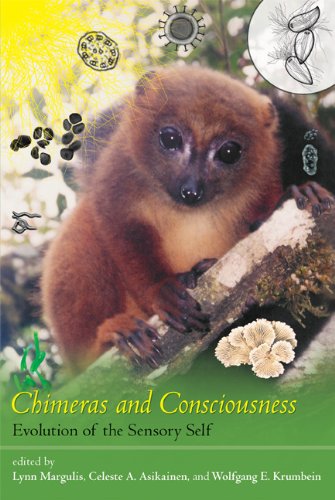 chimeras and consciousness evolution of the sensory self