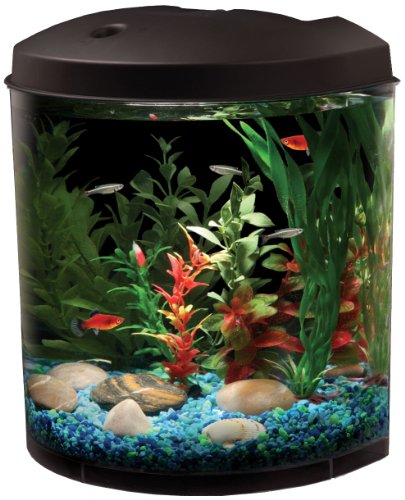Aquarius 180 AQ35000BLK 3-1/2-Gallon Aquarium with LED Light, Pump and UGF Half-moon Shape Aquarius 180 AQ35000BLK 3-1/2-Gallon Aquarium with LED Light, Pump and UGF Half-moon Shape