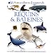 Requins et baleines (Autocollants j'apprends)