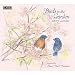 Birds in the Garden 2009 Calendar