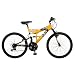 Pacific Tuscon Boy's Dual-Suspension Mountain Bike (24-Inch Wheels)