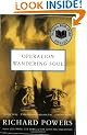 Operation Wandering Soul: A Novel