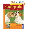 Hundesprache: Verhalten erkennen & verstehen